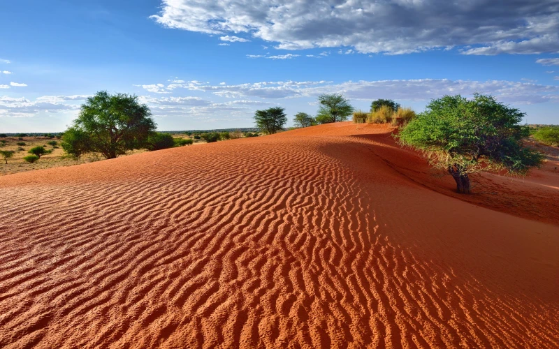 Namibia y Cataratas Victoria